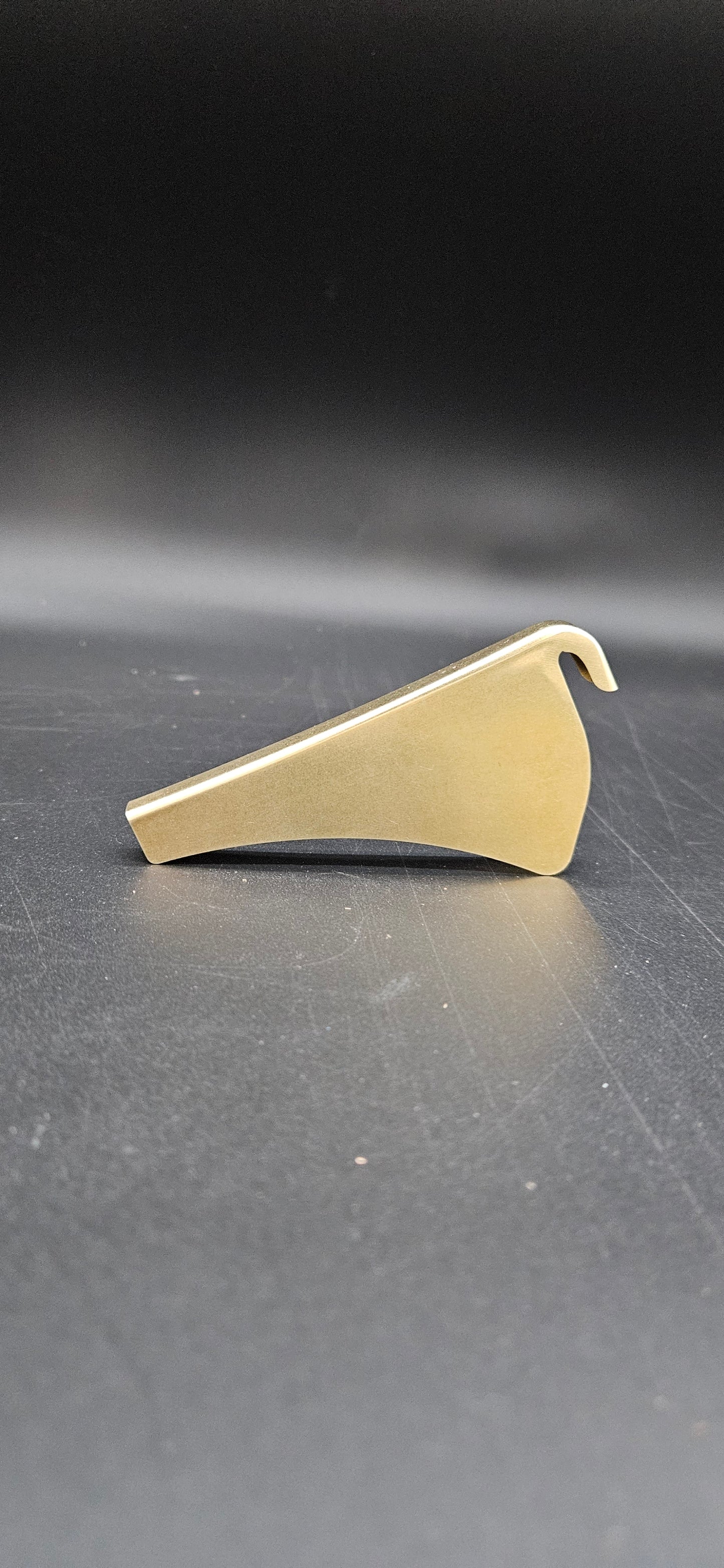 San Francisco Fire Department Brass Front Holder